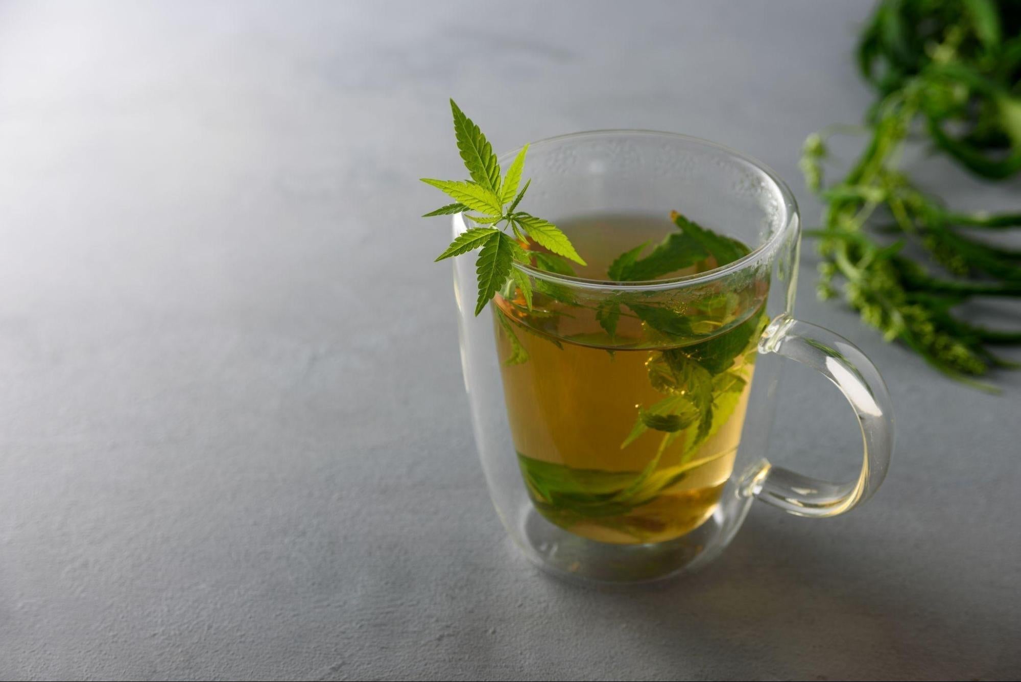 Tea Antioxidants and Green Tea