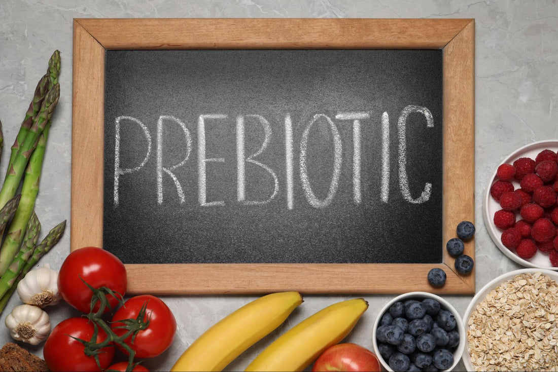 Feeling Stuck? How Prebiotics Can Help Relieve Constipation and Boost Gut Health