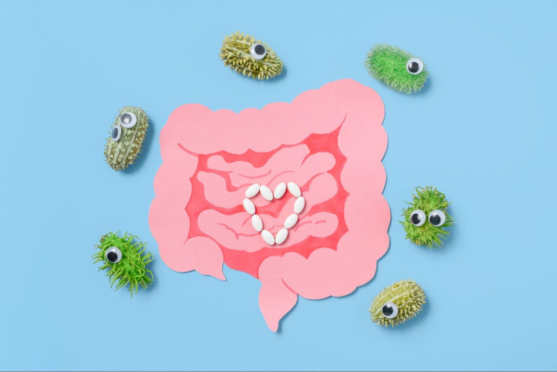 Plant-Based Prebiotics: Feed Your Gut and Feel Amazing