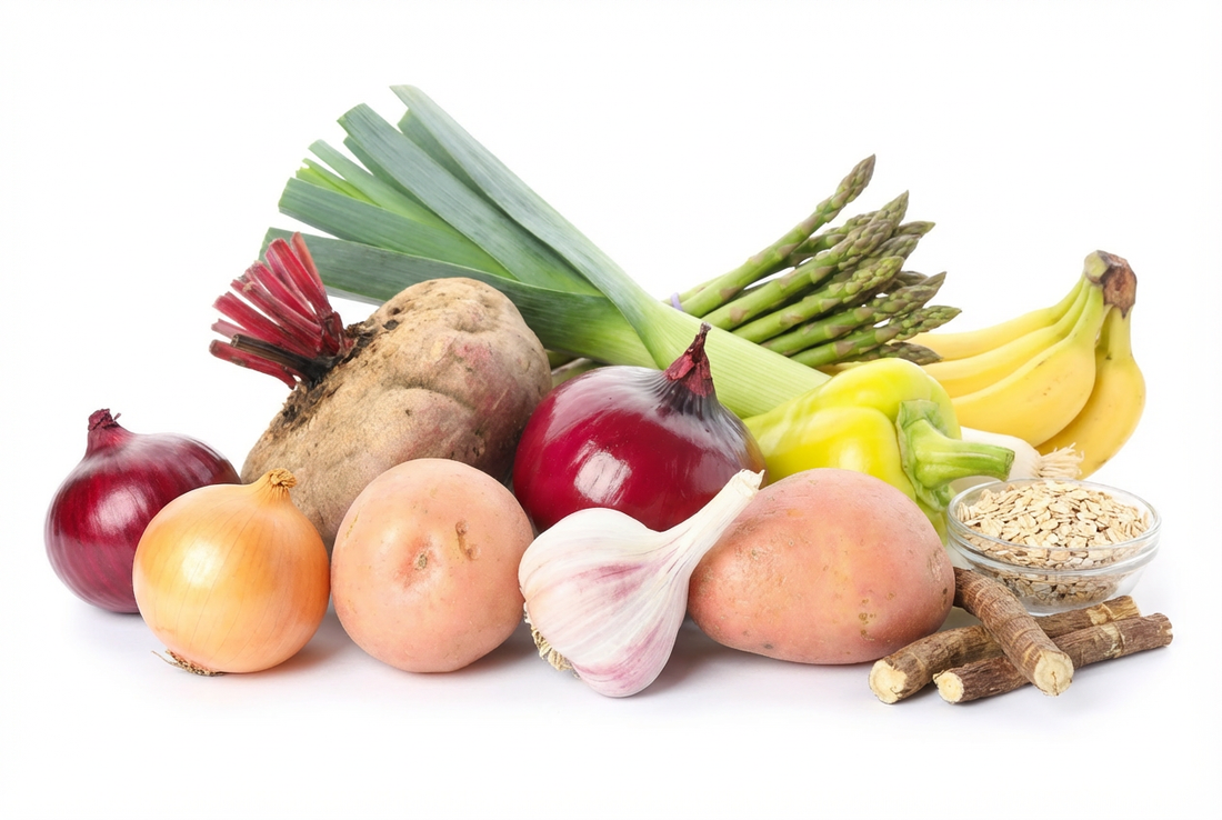 Gut Health 101: Why Prebiotics and Gut Health Matter More Than You Think
